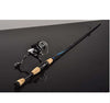 Telescopic Fishing Rod